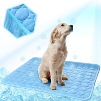 【CW】 Dog Cooling Best Dogs 2021 - Aliexpress ！