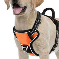 Reflective Dog Harness Vest Pet Collar No Pull Leash Cat Quick Release Adjustable Padded Vest Husky Dog Supplies