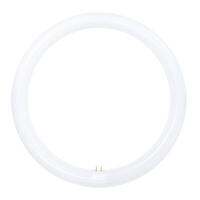 หลอด LED TOSHIBA MAGNETIC CIRCULAR 20 วัตต์ DAYLIGHT คุณภาพสูง แข็งแรงทนทาน ไม่เป็นสนิม ไม่หักและบิดตัวง่าย ติดตั้งง่าย [ส่งเร็วส่งไว มีเก็บเงินปลายทาง]