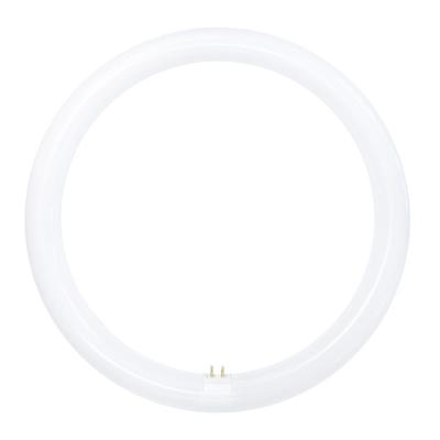 หลอด LED TOSHIBA MAGNETIC CIRCULAR 20 วัตต์ DAYLIGHT คุณภาพสูง แข็งแรงทนทาน ไม่เป็นสนิม ไม่หักและบิดตัวง่าย ติดตั้งง่าย [ส่งเร็วส่งไว มีเก็บเงินปลายทาง]