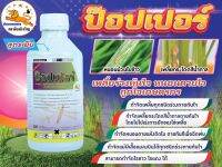 ป๊อปเปอร์ สูตรเย็น เพลี้ยร่วงทันใจ