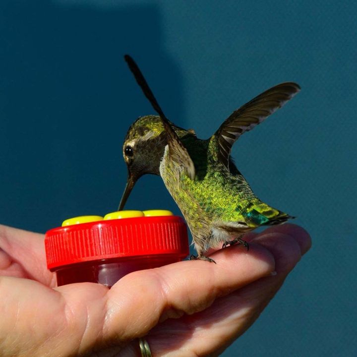 ดอกไม้-hummingbird-feeder-พลาสติกมือถือ-wild-bird-feeders-4พอร์ตให้อาหารแขวนสำหรับภายนอก-garden-yard-ตกแต่ง
