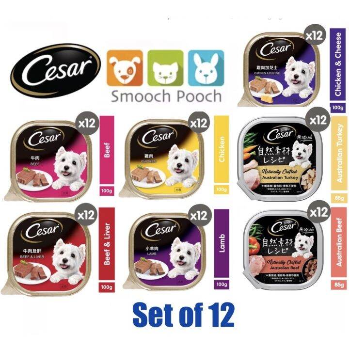 CESAR® Wet Dog Food (100g) Set of 12 Lazada PH