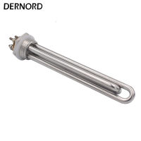 Stainless Steel DC 12V 600W Screw In 1 INCH BSP Solar Heater Element Heater for Wind and Solar Energy