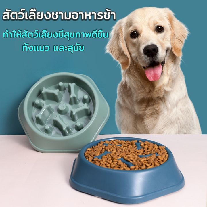 sabai-sabai-ชามข้าวสุนัขฝึกกินช้า-กิน-เล่น-เบิร์น-ในชามเดียว-ชามอาหารฝึกให้ทานช้าลง-ชามช่วยลดการสำลัก