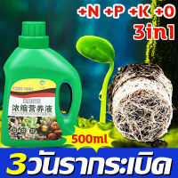 7วันรากเน่าหยั่งรากใหม่ น้ำยาเร่งราก ยาเร่งราก 500ml เยียวยาด่วน ปริมาณสารอาหารสูง เร่งดอกไม้ ใบเขียว เร่งราก รากไม่เผา ใช้ได้พืชทุกชนิด แก้ปัญหาเช่นรากเน่า ผงเร่งรากพืช ผงเร่งราก ยาเร่งรากและใบ น้ำยาเร่งรากใบ น้ำยาเร่งรากต้นไม้