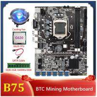 B75 BTC Mining Motherboard 12XPCIE to USB Adapter with G620 CPU+Cooling Fan+DDR3 4GB 1600Mhz RAM B75 USB ETH Motherboard