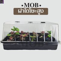 [สินค้าพร้อมจัดส่ง]⭐⭐MOB ฝาไดโซะสูง ฝาสูง ฝาถาดไดโซะ ฝาอบต้นไม้ ฝาครอบ ถาดเพาะ[สินค้าใหม่]จัดส่งฟรีมีบริการเก็บเงินปลายทาง⭐⭐