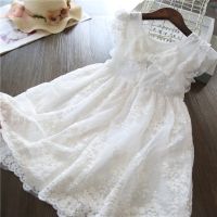 Flower Lace Summer Dresses for Girls Bow Elegant Kids Birthday Princess Dress Wedding Party Gown White Children Casual Vestidos  by Hs2023