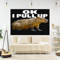 【CW】✾◎۩  XxDeco Cabybara Ok I Pull Up Tapestry Meme Printed Room Decoration Wall Hanging Background Sofa Blanket