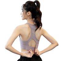 【YF】 Sutiã Esportivo de Impacto para Mulheres Push Up Almofada Peito Fixa Fivela Traseira Ajustável Patchwork Malha Ginásio Correndo Treino Top Colheita Ioga