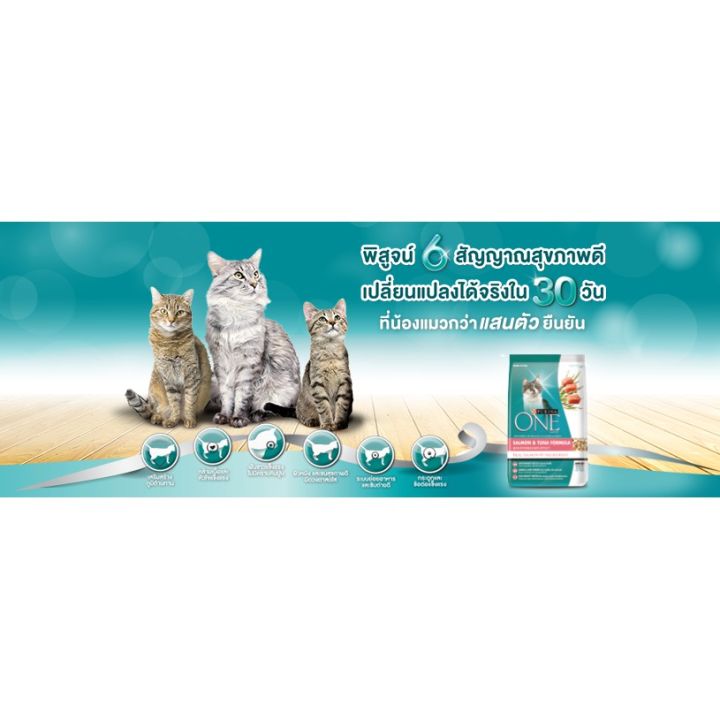 แบ่งขาย-purina-one-อาหารแมวเพียวริน่าวัน-1-กิโลกรัม-ลูกแมว-ปลาแซลมอน-แมวเลี้ยงในบ้าน