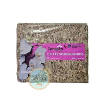 Sphagnum Moss for Plants - Spagmoss Premium Sphagnum Moss Great Orchid  Medium for All Types of Flowers- 150g