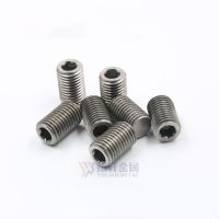 10pcs/lot DIN913 Titanium hex socket set screw with flat point M2 M2.5 M3