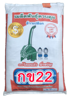 กข22 ข้าวเหนียวหอมต้นเตี้ยทนโรคไหม้และแมลงบั่วให้ผลผลิตสูง (บรรจุ 23 กก. จากผู้ผลิต)