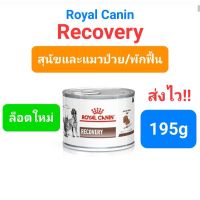 Royal Canin Recovery 195 g กระป๋อง รอยัลคานิน สุนัขและแมวป่วย ระยะพักฟื้น / เบื่อ / ขาดสารอาหาร / หลังผ่าตัด