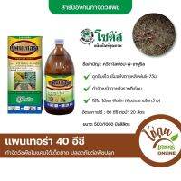 แพนเทอร่า 500มิลลิลิตร โซตัส กำจัด วัชพืช หญ้า ใบแคบ หญ้าแห้ง ตาย