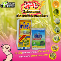 คู่แสบ ท้าปราบหนอน ฮาโลซัน+จีม่า 500ซีซี+100กรัม (แลมป์ดา+อีมาเมกติน) กำจัดหนอนยับยั้งการลอกคราบ