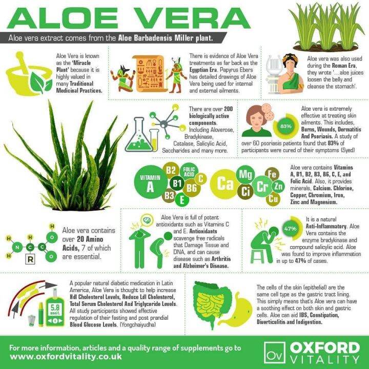 ว่านหางจระเข้สกัด-aloe-vera-gels-100-softgels-now-foods