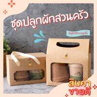 ?Hot Sale! ชุดปลูกผักสวนครัว ของขวัญ ของชำร่วย Wow สุด ชุดปลูกผักไฮโป