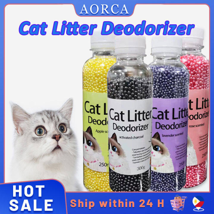 Companion hotsell kitty litter