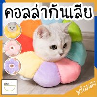 MITI4 พร้อมส่ง ปลอกคอกันเลียดอกไม้ Collar คอลล่ากันเลียแผล ปลอกคอแมว ใส่สบาย กันน้ำ กันเปื้อน มี 4 แบบ COD MIP124