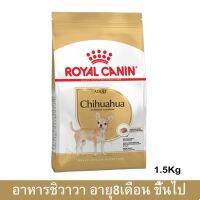 (ลด50%) Royal Canin Chihuahua Adult Dog Food 1.5Kg (1 bag) อาหารสุนัข รอยัลคานิน อาหารชิวาวา อายุ8เดือนขึ้นไป 1.5กก. (1ถุง) เฉพาะวันนี้เท่านั้น !