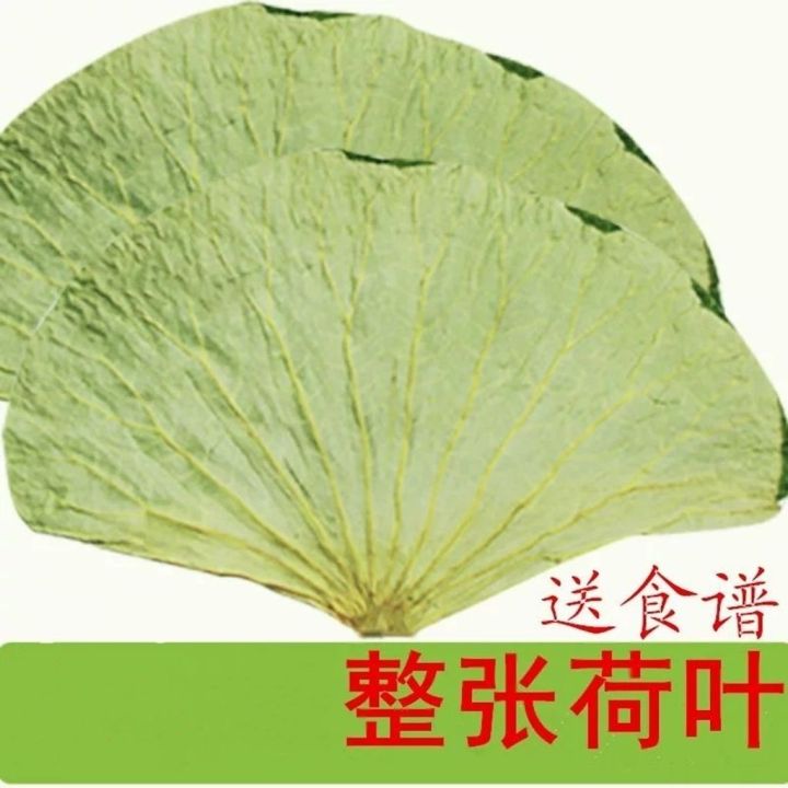 xbydzsw-zongzi-lotus-leaf-whole-lotus-leaf