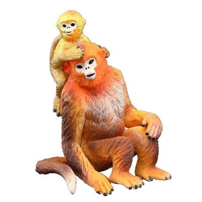 Solid children simulation toy animals wild animal model of golden monkeys snub-nosed monkey cognitive gift set furnishing articles