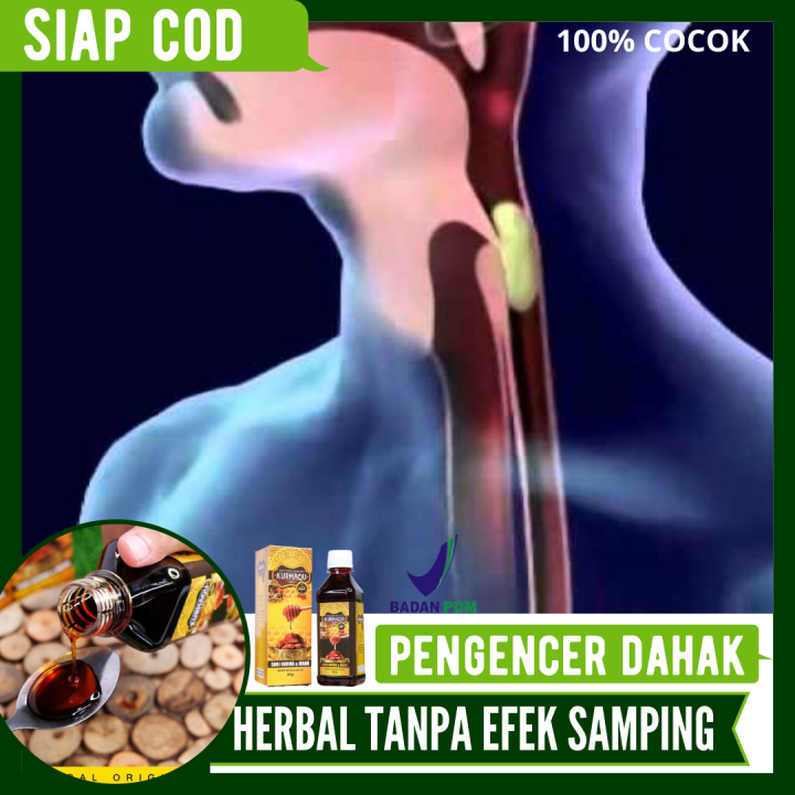 Obat Untuk Menghilangkan Lendir Di Tenggorokan Menghilangkan Dahak Obat Gurah Paru Kurmaqu 1589