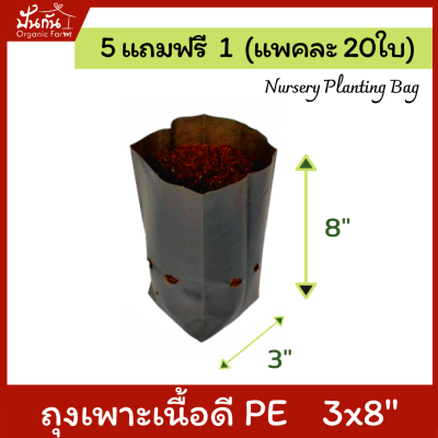 [5แถมฟรี1] ถุงปลูกต้นไม้ 3x8” ถุงเพาะชำ ถุงเพาะสีดำ เจาะรู แพคละ20ใบ  [สั่ง5แพค แถมอีก1แพค] [Nursery Planting Bag] เนื้อ PE เหนียว ทน อายุใช้งาน 1.5 ปี