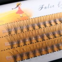 Anlinnet 60 cluster/box Individual eyelashes0.07/0.1thick cluster eyelash extension3D lashes natural false eyelashes wholesale