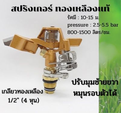 หัวสปริงเกอร์ ทองเหลืองแท้ สปิงสแตนเลส เกลียว 1/2" (4 หุน) รุ่น BR12 ปรับมุมได้ หมุนรอบตัวได้