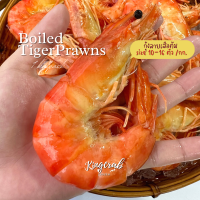 กุ้งลายเสือต้มใหญ่พิเศษ  U10 Giant tiger prawn 1KG/PACK