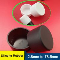 2.8mm-78.5mm Black/White Round Silicone Rubber Caps Protection Cover Gasket Dust Seal End Cap For Pipe Bolt Furniture Terminal Gas Stove Parts Accesso