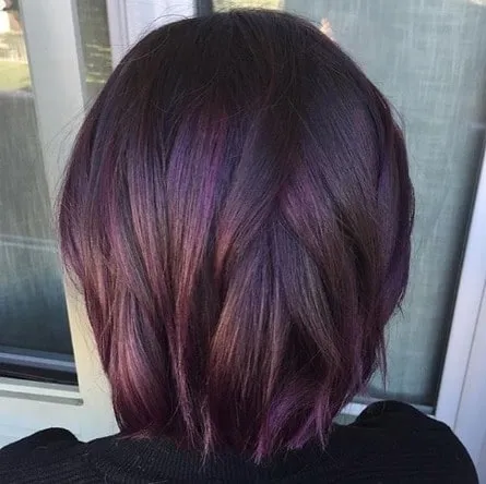 Midnight Rose Dark Purple Dark Violet Hair Color with Oxidizing  Damson  Fashion Hair Color Permanent Hair Color Set | Lazada PH