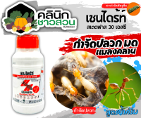 ? เชนไดร้ท์ สเตดฟาส30SC บรรจุ 250ซีซี ป้องกันและกำจัดปลวก มอด มดและแมลงอื่นๆ