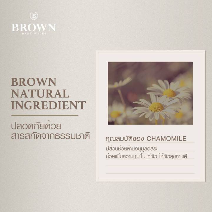 brown-original-plus-baby-wipes-บราวน์-ออริจินอลพลัส-เบบี้-ไวพส์-ทิชชู่เปียกสำหรับเด็กแรกเกิด-รุ่นประหยัด-80-แผ่น-x-5-แพค