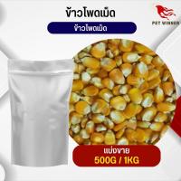 ข้าวโพดเม็ด corn kernels อาหารนก กระต่าย หนู กระต่าย กระรอก ชูก้า และสัตว์ฟันแทะ อาหารสัตว์เลี้ยง (แบ่งขาย 500G / 1KG)