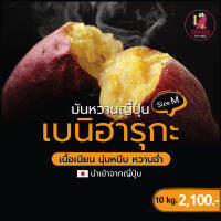 OIMO โออิโมะมันหวานญี่ปุ่นพันธุ์เบนิฮารุกะ Beniharuka sweet potato Size M 10 kg