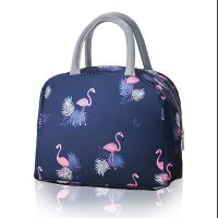 ✢☢ Insulated Lunch Bag Women Waterproof Thickened Aluminum Foil Kids Small Portable Lunch Box Beach Cooler Bag Warmer Lunchbox