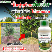 ชุดบำรุงทางใบสำหรับทุเรียนเล็ก ?บำรุงใบ ทุเรียน?[GBT]? บำรุงทุเรียน 500 ซีซี สูตรระเบิดราก+สูตรแตกยอดต่อเนื่อง แก้ใบเหลือง เร่งแตกยอด เร่งโตไว เร่งต้นใบราก บำรุงทุเรียนเล็ก บำรุงต้นทุเรียนโทรม