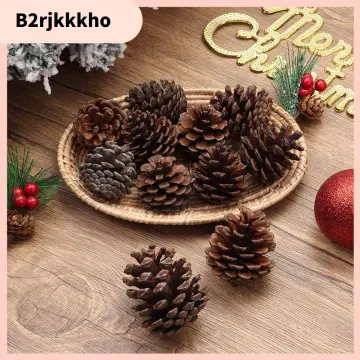 6pcs Pinecone Picks Dried Flowers Natural Pine Cones Nuts For