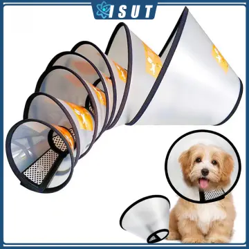 Big best sale dog cone