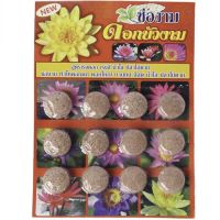 Cho-ngam Food for lotus plant ช่องาม อาหารบัว อาหารไม้น้ำแบบ 12เม็ด (5อัน)