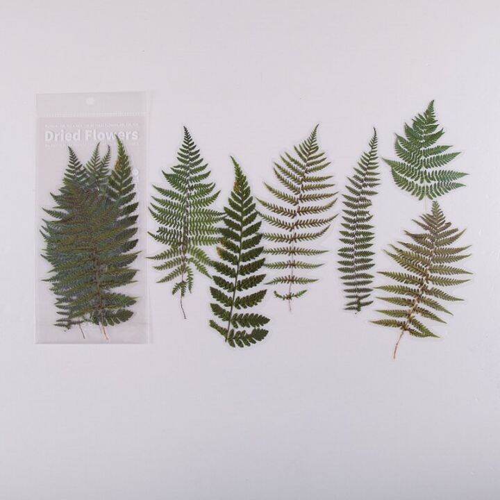 journamm-6pcs-flowers-weekend-fern-eucalyptus-leaves-pet-stickers-scrapbooking-journal-deco-album-deco-diy-stationery-stickers-stickers-labels