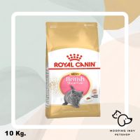 ด่วนโปร ส่งฟรี Royal Canin 10 kg. British Shorthair Kitten อาหารลูกแมวพันธุ์ บริติช ชอร์ทแฮร์ อายุต่ำกว่า 12 เดือน