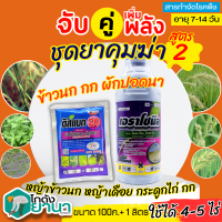 ? ชุดยาคุม2 เอราโซนิล+ดิสแบค ขนาด 1ลิตร+100กรัม กำจัดหญ้าข้าวนก หญ้าเดือย กระดูกไก่ กก