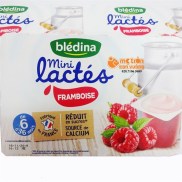 Sữa chua B ledina 6 55G vị mâm xôi dành cho trẻ 6m - Pháp date T11.2022