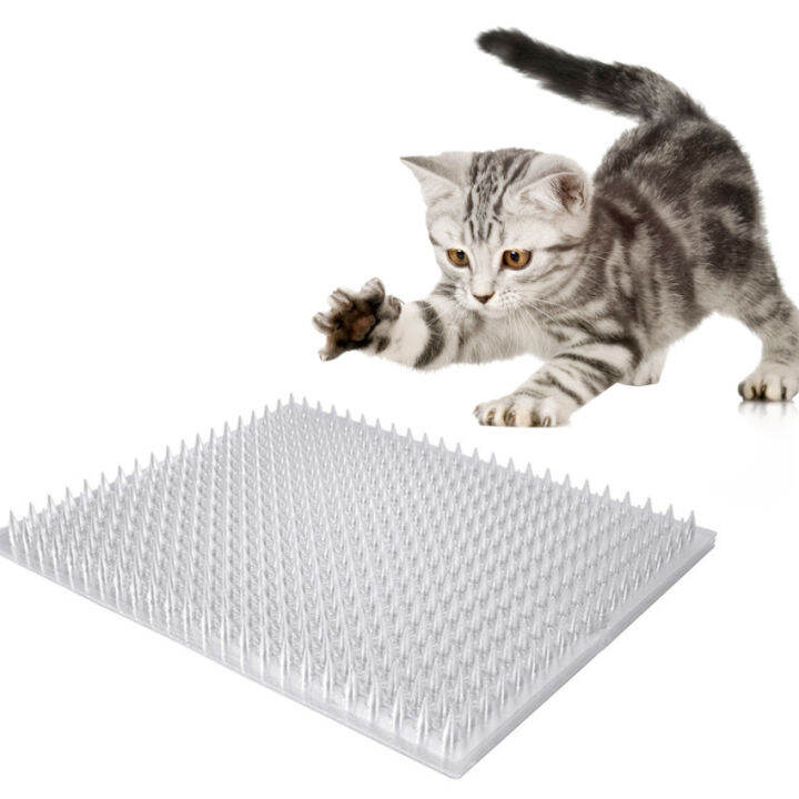 Outdoor scat mat outlet for cats